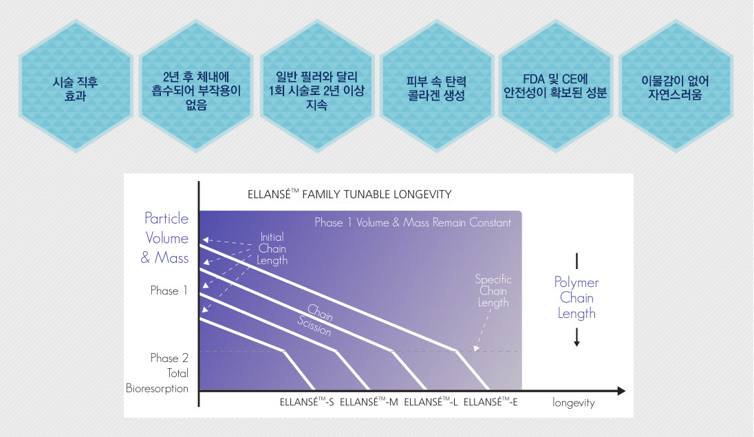 ·¹½ºÆ¿·» Ư¡